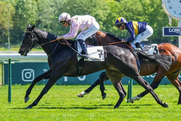 canalturf || canal turf || resultat pmu